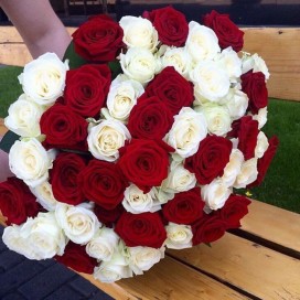 Букет из 51 красно-белой розы (50см)