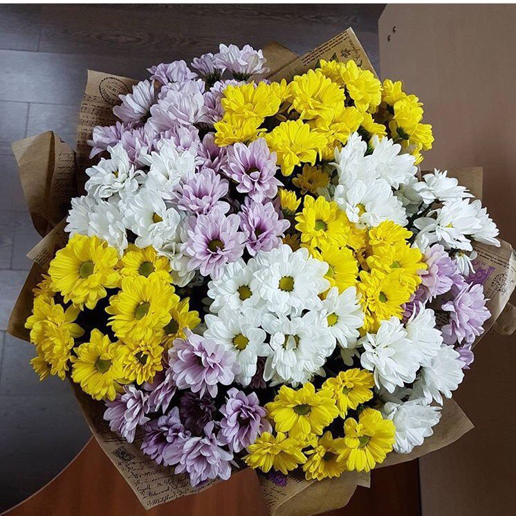 Букет из 15 разноцветных кустовых хризантем - crocus-flowers38.ru