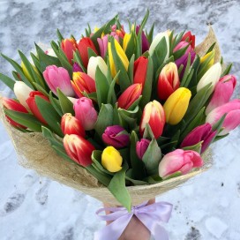 49 ярких тюльпанов