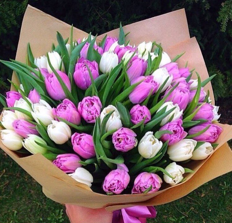 Букет микс из 49 разноцветных тюльпана - crocus-flowers38.ru