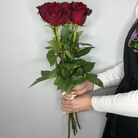 5 красных роз с лентой