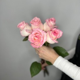 5 розовых роз с лентой