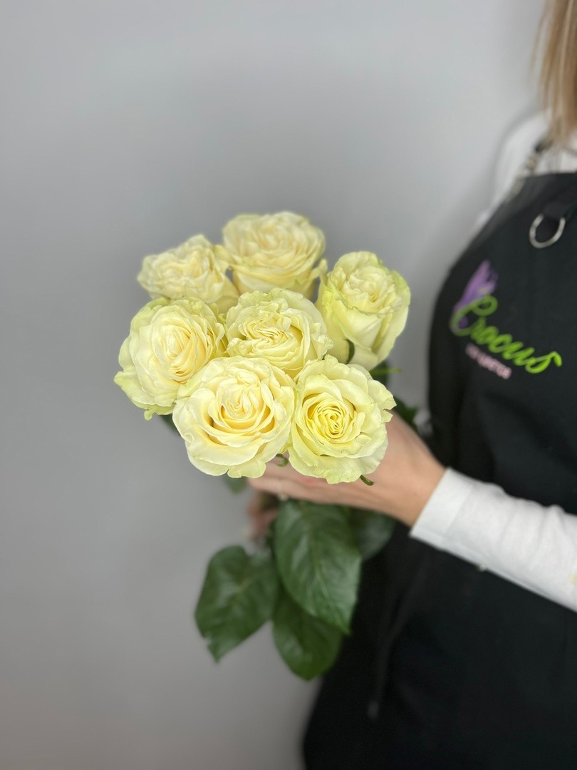 7 белых роз с лентой (70см)
