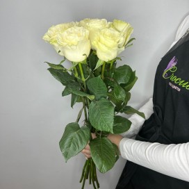 7 белых роз с лентой (70см)