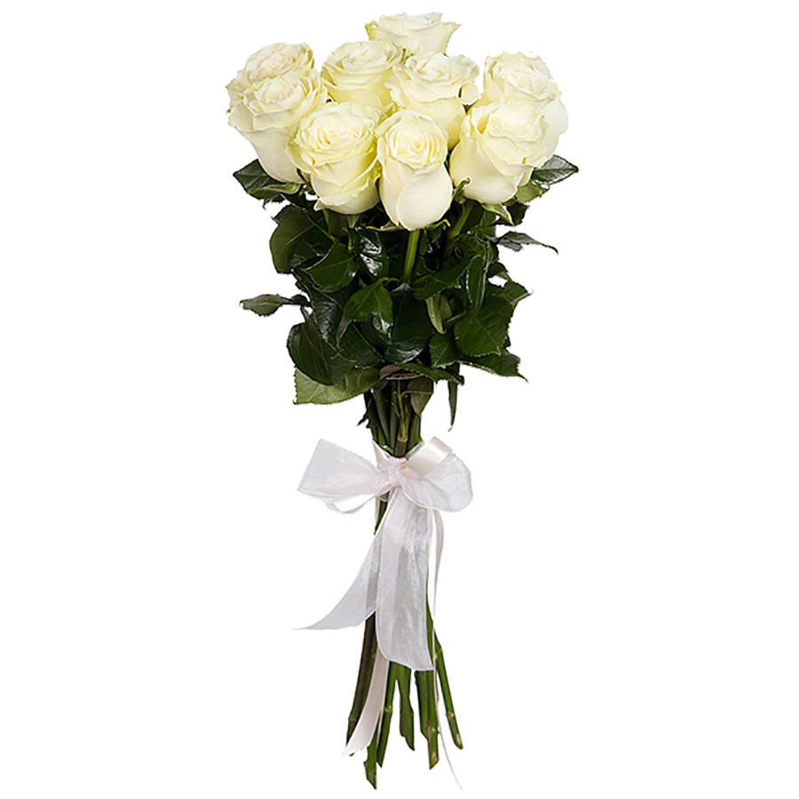 9 белых роз с лентой - crocus-flowers38.ru