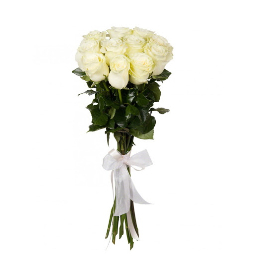 11 белых роз с лентой - crocus-flowers38.ru