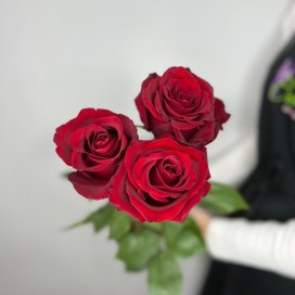 3 красные розы с лентой