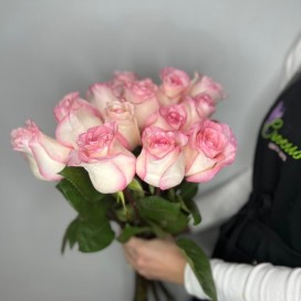 15 розовых роз с лентой