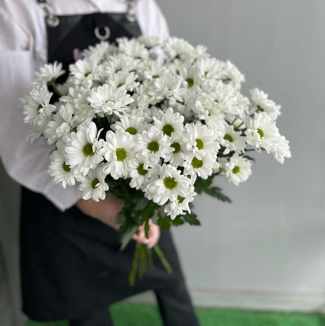 11 кустовых хризантем с лентой - crocus-flowers38.ru